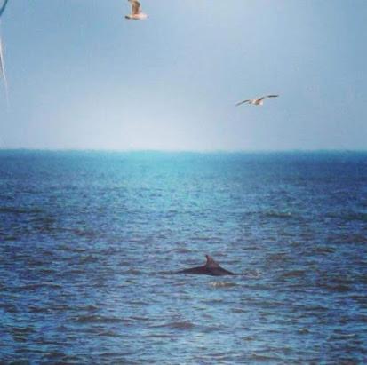 Coastal Joy - Room 1 Newbiggin-by-the-Sea Esterno foto